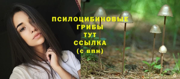 PSILOCYBIN Алексеевка