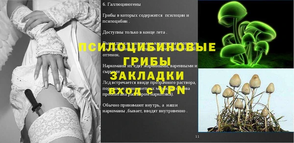 СК Алексин