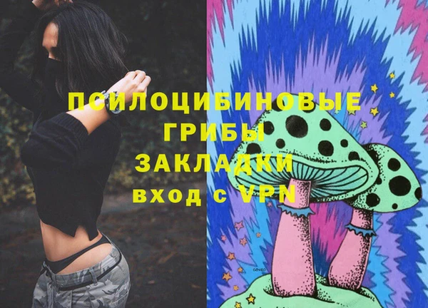 СК Алексин