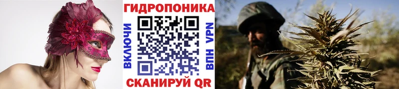 ОМГ ОМГ ONION  где купить наркотик  Курчалой  Бошки марихуана марихуана 